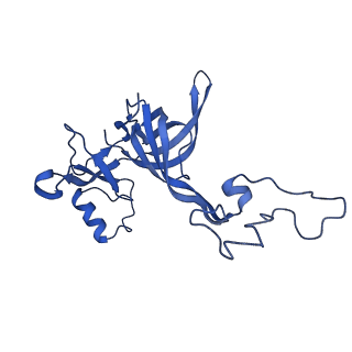 13805_7q4k_BD_v1-2
Erythromycin-stalled Escherichia coli 70S ribosome with streptococcal MsrDL nascent chain