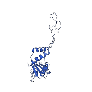 13805_7q4k_BE_v1-2
Erythromycin-stalled Escherichia coli 70S ribosome with streptococcal MsrDL nascent chain