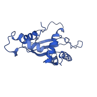 13805_7q4k_BF_v1-2
Erythromycin-stalled Escherichia coli 70S ribosome with streptococcal MsrDL nascent chain