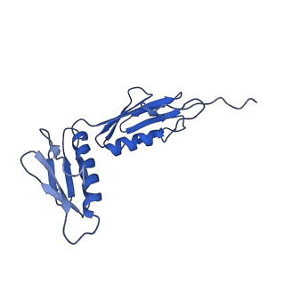 13805_7q4k_BG_v1-2
Erythromycin-stalled Escherichia coli 70S ribosome with streptococcal MsrDL nascent chain