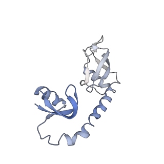 13805_7q4k_BH_v1-2
Erythromycin-stalled Escherichia coli 70S ribosome with streptococcal MsrDL nascent chain