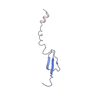 13805_7q4k_BI_v1-2
Erythromycin-stalled Escherichia coli 70S ribosome with streptococcal MsrDL nascent chain