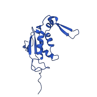 13805_7q4k_BJ_v1-2
Erythromycin-stalled Escherichia coli 70S ribosome with streptococcal MsrDL nascent chain
