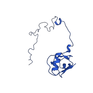 13805_7q4k_BL_v1-2
Erythromycin-stalled Escherichia coli 70S ribosome with streptococcal MsrDL nascent chain