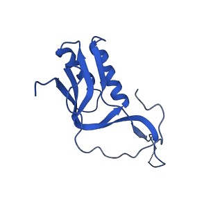 13805_7q4k_BM_v1-2
Erythromycin-stalled Escherichia coli 70S ribosome with streptococcal MsrDL nascent chain