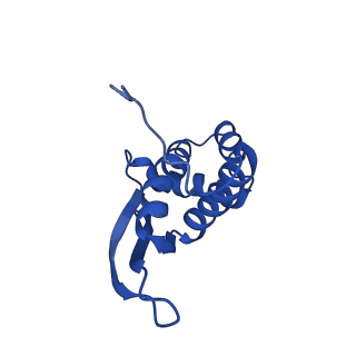 13805_7q4k_BN_v1-2
Erythromycin-stalled Escherichia coli 70S ribosome with streptococcal MsrDL nascent chain