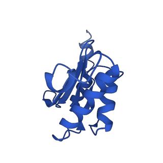 13805_7q4k_BO_v1-2
Erythromycin-stalled Escherichia coli 70S ribosome with streptococcal MsrDL nascent chain