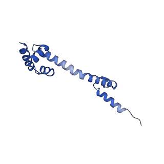 13805_7q4k_BQ_v1-2
Erythromycin-stalled Escherichia coli 70S ribosome with streptococcal MsrDL nascent chain