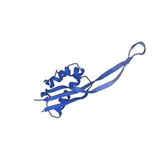 13805_7q4k_BS_v1-2
Erythromycin-stalled Escherichia coli 70S ribosome with streptococcal MsrDL nascent chain