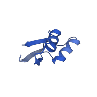 13805_7q4k_BZ_v1-2
Erythromycin-stalled Escherichia coli 70S ribosome with streptococcal MsrDL nascent chain