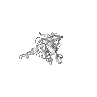 13817_7q4u_AA_v1-1
Cryo-EM structure of Mycobacterium tuberculosis RNA polymerase holoenzyme octamer comprising sigma factor SigB