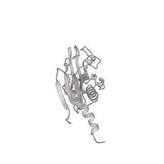 13817_7q4u_A_v1-1
Cryo-EM structure of Mycobacterium tuberculosis RNA polymerase holoenzyme octamer comprising sigma factor SigB