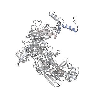 13817_7q4u_BA_v1-1
Cryo-EM structure of Mycobacterium tuberculosis RNA polymerase holoenzyme octamer comprising sigma factor SigB