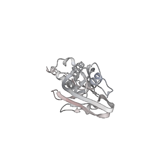 13817_7q4u_B_v1-1
Cryo-EM structure of Mycobacterium tuberculosis RNA polymerase holoenzyme octamer comprising sigma factor SigB