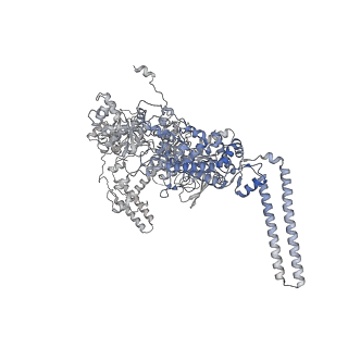 13817_7q4u_CA_v1-1
Cryo-EM structure of Mycobacterium tuberculosis RNA polymerase holoenzyme octamer comprising sigma factor SigB