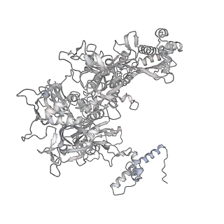 13817_7q4u_C_v1-1
Cryo-EM structure of Mycobacterium tuberculosis RNA polymerase holoenzyme octamer comprising sigma factor SigB