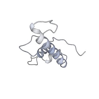 13817_7q4u_DA_v1-1
Cryo-EM structure of Mycobacterium tuberculosis RNA polymerase holoenzyme octamer comprising sigma factor SigB