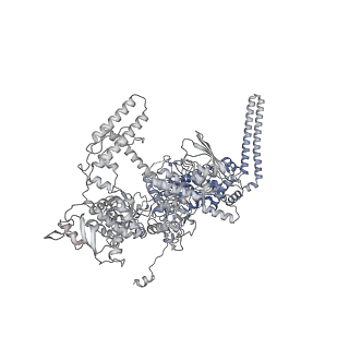 13817_7q4u_D_v1-1
Cryo-EM structure of Mycobacterium tuberculosis RNA polymerase holoenzyme octamer comprising sigma factor SigB