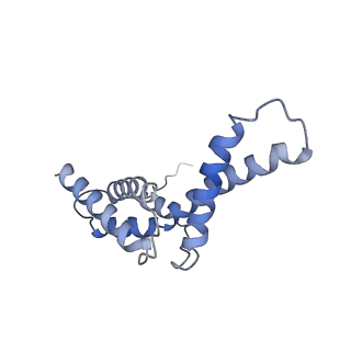 13817_7q4u_EA_v1-1
Cryo-EM structure of Mycobacterium tuberculosis RNA polymerase holoenzyme octamer comprising sigma factor SigB