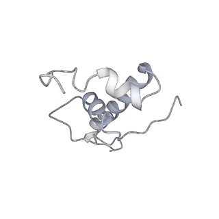 13817_7q4u_E_v1-1
Cryo-EM structure of Mycobacterium tuberculosis RNA polymerase holoenzyme octamer comprising sigma factor SigB