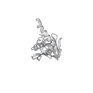 13817_7q4u_GA_v1-1
Cryo-EM structure of Mycobacterium tuberculosis RNA polymerase holoenzyme octamer comprising sigma factor SigB