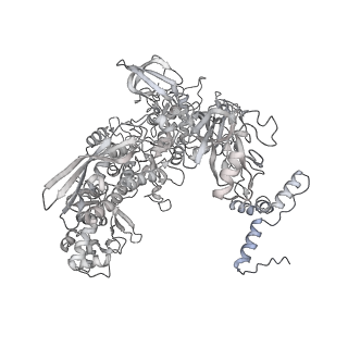 13817_7q4u_HA_v1-1
Cryo-EM structure of Mycobacterium tuberculosis RNA polymerase holoenzyme octamer comprising sigma factor SigB