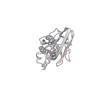 13817_7q4u_H_v1-1
Cryo-EM structure of Mycobacterium tuberculosis RNA polymerase holoenzyme octamer comprising sigma factor SigB