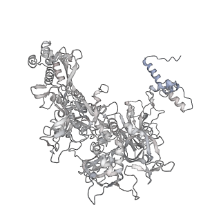 13817_7q4u_I_v1-1
Cryo-EM structure of Mycobacterium tuberculosis RNA polymerase holoenzyme octamer comprising sigma factor SigB