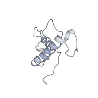 13817_7q4u_JA_v1-1
Cryo-EM structure of Mycobacterium tuberculosis RNA polymerase holoenzyme octamer comprising sigma factor SigB