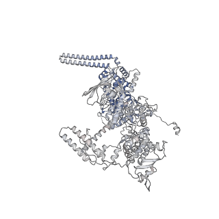 13817_7q4u_J_v1-1
Cryo-EM structure of Mycobacterium tuberculosis RNA polymerase holoenzyme octamer comprising sigma factor SigB