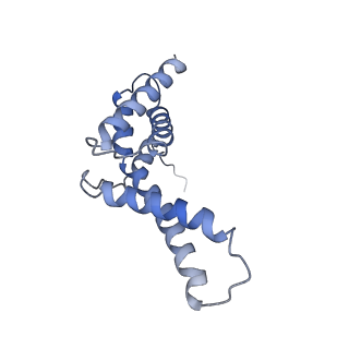 13817_7q4u_KA_v1-1
Cryo-EM structure of Mycobacterium tuberculosis RNA polymerase holoenzyme octamer comprising sigma factor SigB
