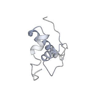 13817_7q4u_K_v1-1
Cryo-EM structure of Mycobacterium tuberculosis RNA polymerase holoenzyme octamer comprising sigma factor SigB
