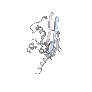 13817_7q4u_LA_v1-1
Cryo-EM structure of Mycobacterium tuberculosis RNA polymerase holoenzyme octamer comprising sigma factor SigB