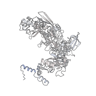 13817_7q4u_NA_v1-1
Cryo-EM structure of Mycobacterium tuberculosis RNA polymerase holoenzyme octamer comprising sigma factor SigB
