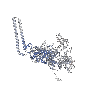 13817_7q4u_OA_v1-1
Cryo-EM structure of Mycobacterium tuberculosis RNA polymerase holoenzyme octamer comprising sigma factor SigB