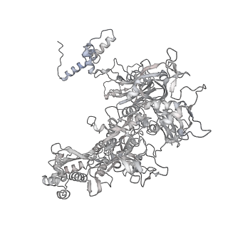 13817_7q4u_O_v1-1
Cryo-EM structure of Mycobacterium tuberculosis RNA polymerase holoenzyme octamer comprising sigma factor SigB
