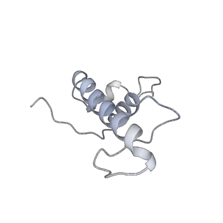 13817_7q4u_PA_v1-1
Cryo-EM structure of Mycobacterium tuberculosis RNA polymerase holoenzyme octamer comprising sigma factor SigB