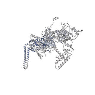 13817_7q4u_P_v1-1
Cryo-EM structure of Mycobacterium tuberculosis RNA polymerase holoenzyme octamer comprising sigma factor SigB
