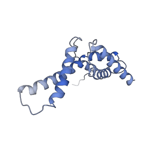 13817_7q4u_QA_v1-1
Cryo-EM structure of Mycobacterium tuberculosis RNA polymerase holoenzyme octamer comprising sigma factor SigB