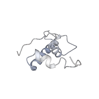 13817_7q4u_Q_v1-1
Cryo-EM structure of Mycobacterium tuberculosis RNA polymerase holoenzyme octamer comprising sigma factor SigB