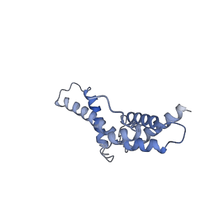 13817_7q4u_R_v1-1
Cryo-EM structure of Mycobacterium tuberculosis RNA polymerase holoenzyme octamer comprising sigma factor SigB