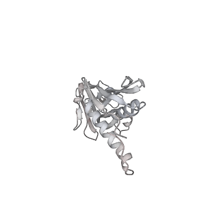 13817_7q4u_SA_v1-1
Cryo-EM structure of Mycobacterium tuberculosis RNA polymerase holoenzyme octamer comprising sigma factor SigB