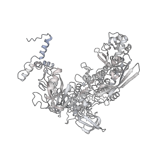13817_7q4u_TA_v1-1
Cryo-EM structure of Mycobacterium tuberculosis RNA polymerase holoenzyme octamer comprising sigma factor SigB
