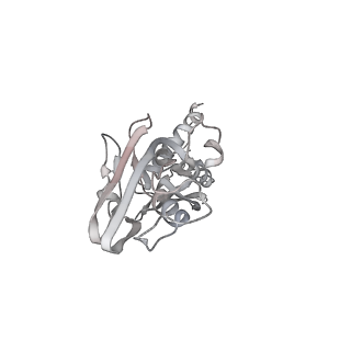 13817_7q4u_T_v1-1
Cryo-EM structure of Mycobacterium tuberculosis RNA polymerase holoenzyme octamer comprising sigma factor SigB