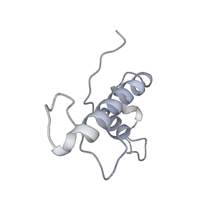 13817_7q4u_VA_v1-1
Cryo-EM structure of Mycobacterium tuberculosis RNA polymerase holoenzyme octamer comprising sigma factor SigB