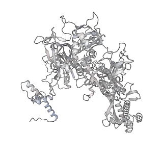 13817_7q4u_V_v1-1
Cryo-EM structure of Mycobacterium tuberculosis RNA polymerase holoenzyme octamer comprising sigma factor SigB