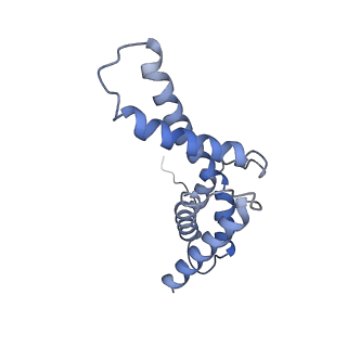13817_7q4u_WA_v1-1
Cryo-EM structure of Mycobacterium tuberculosis RNA polymerase holoenzyme octamer comprising sigma factor SigB