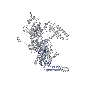 13817_7q4u_W_v1-1
Cryo-EM structure of Mycobacterium tuberculosis RNA polymerase holoenzyme octamer comprising sigma factor SigB