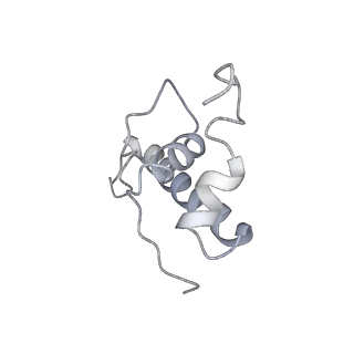 13817_7q4u_X_v1-1
Cryo-EM structure of Mycobacterium tuberculosis RNA polymerase holoenzyme octamer comprising sigma factor SigB
