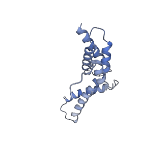 13817_7q4u_Y_v1-1
Cryo-EM structure of Mycobacterium tuberculosis RNA polymerase holoenzyme octamer comprising sigma factor SigB